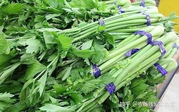海南省公布5批次食用农产品农兽药残留超标